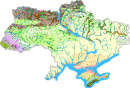 Рослини і тварини
